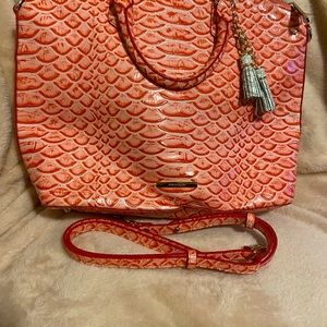 Brahmin Purse